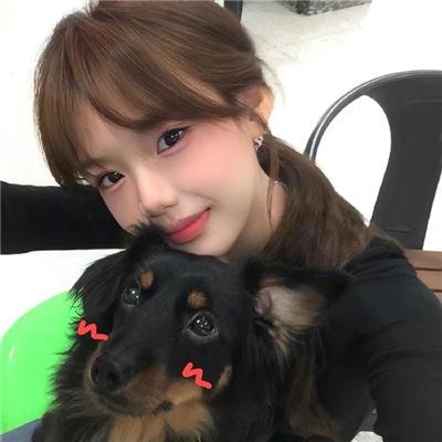 科搜研之女2022